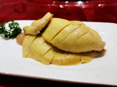 -上海精菜馆(虎踞关店)