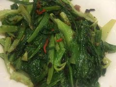 油麦菜-秋色客家菜(南山店)