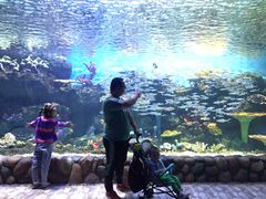 -华夏文旅海洋公园