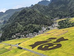 -万峰林风景区