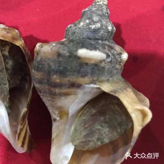 博贺小海渔村