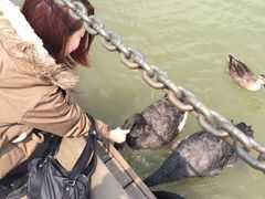紫清湖生态旅游温泉度假区-南京汤山紫清湖生态旅游温泉度假区