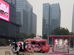 -合景·悠方(成都店)