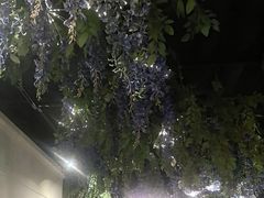 -湖锦酒楼·旗舰店(三阳总店)