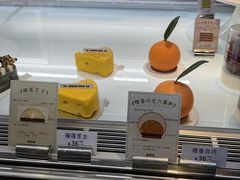 -TD66高山铁皮石斛养生茶饮