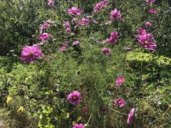 -叠溪松坪沟景区