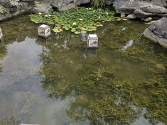-常熟方塔园