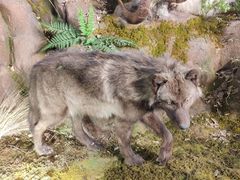 -正佳自然科学博物馆