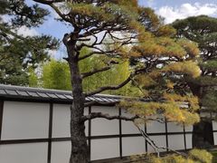-京都御所