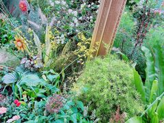-深圳仙湖植物园