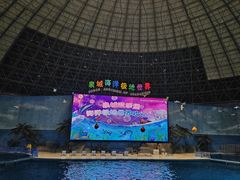 -泉城欧乐堡海洋极地世界