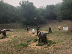 -北京张裕爱斐堡酒庄