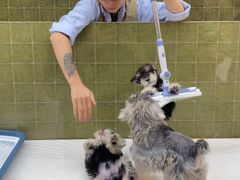 -帕帕拉兹宠物(亚洲旗舰店)