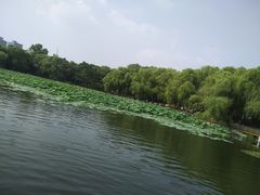 -长春市南湖公园