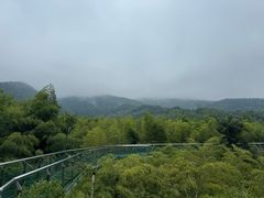 -陶祖圣境风景区