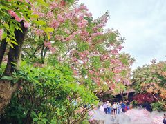 -茅山东方盐湖城景区