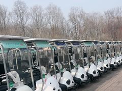 -江苏三台山国家森林公园