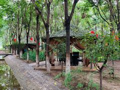 -草根堂农场