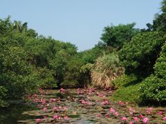 -白沙门生态公园