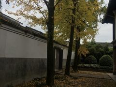 -溪口-滕头旅游景区