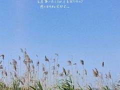 -良渚古城遗址公园