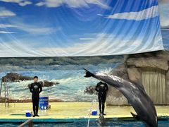 -福州罗源湾海洋世界旅游区