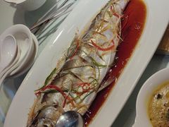 -买福记大盘鸡新疆菜