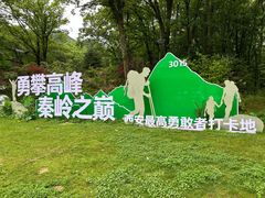 -朱雀国家森林公园