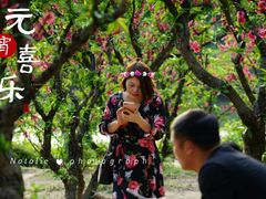 -南国桃园旅游度假区