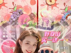 -野萃山·潮汕厚果汁(十亩地店)