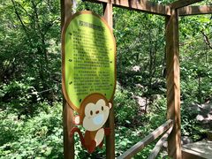 -大岭沟猕猴桃谷风景区