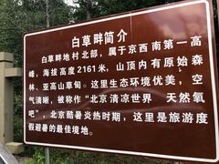 -白草畔自然风景区