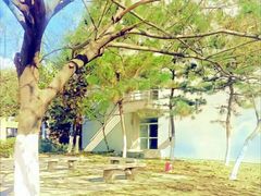 -河海大学(江宁校区)