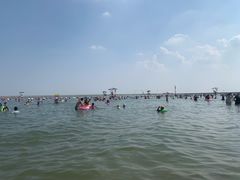 -碧海金沙
