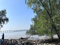 -宝安西湾红树林湿地公园