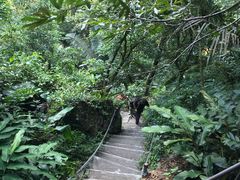 -七仙岭温泉国家森林公园