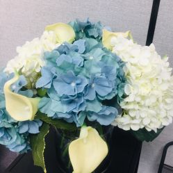 -MJ skin care国际皮肤管理中心