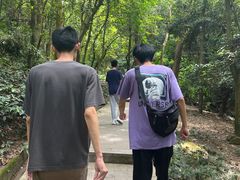 -火炉山森林公园