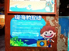 -萌宠奇缘