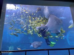 -太平洋海底世界