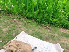 -东钱湖旅游度假区