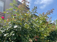 -南京金牛湖风景区