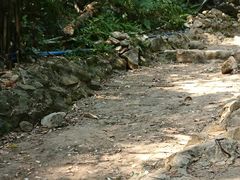 -火炉山森林公园