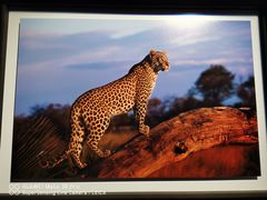 -罗红摄影艺术馆