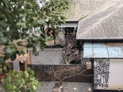 -苏州本色美术馆