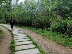 -桤木河湿地公园