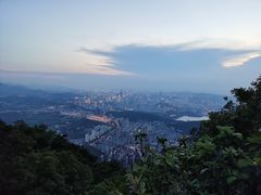 -梧桐山风景名胜区