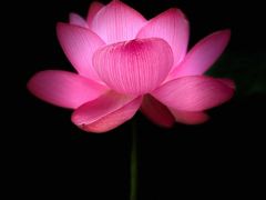 -龚家花园农家乐休闲别墅