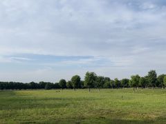 -汉长安城未央宫国家考古遗址公园