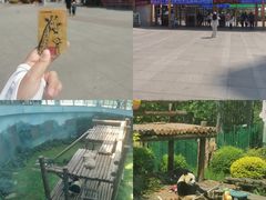 -大连森林动物园